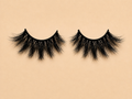 Five Star Lash